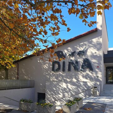 Dina 1